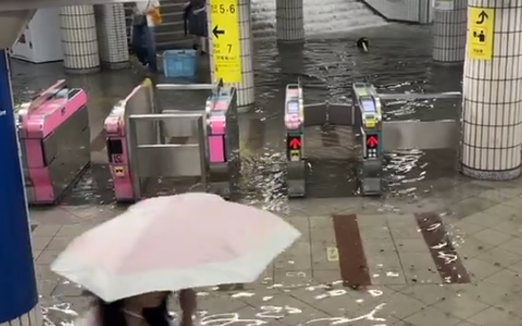 画像_2024-08-22_002950139