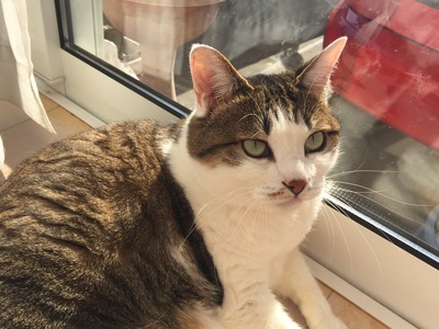 0109d812e1f44e4feda97aaa90cfe92a85491cc88f