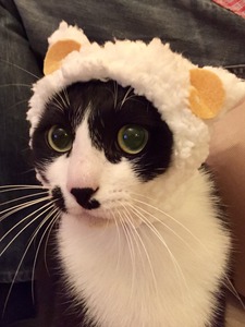 IMG_4059 （編集済み）