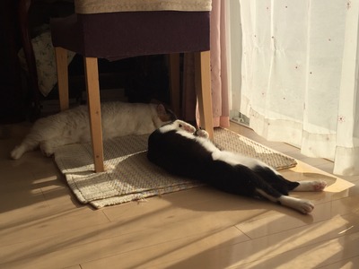 013296983f889a836587c789cb9d37355d19351863