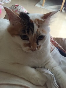 01cde00f64ac351554356aa321d26374c825df931a