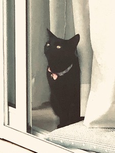 IMG_1662(Edited) （編集済み）