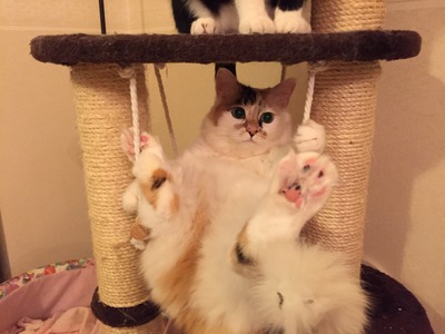 0184a233cfc15e269c20622cc7e169f44bb42cbf23