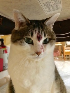 0137b7bf1b1e6df9059e411f9f029fe1cf130f07f2