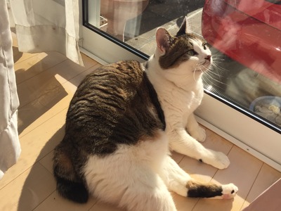 016c4c8c11eed77692c57f9d916f07223c63c2cfe4