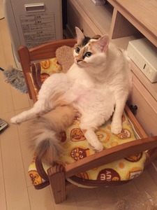 01f4b44af650ef88f1e3afe854b0b294b583cffe93