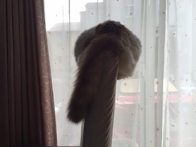 019debad6a1400ee3d4c1fcaf27d80a7351f4e1b2a