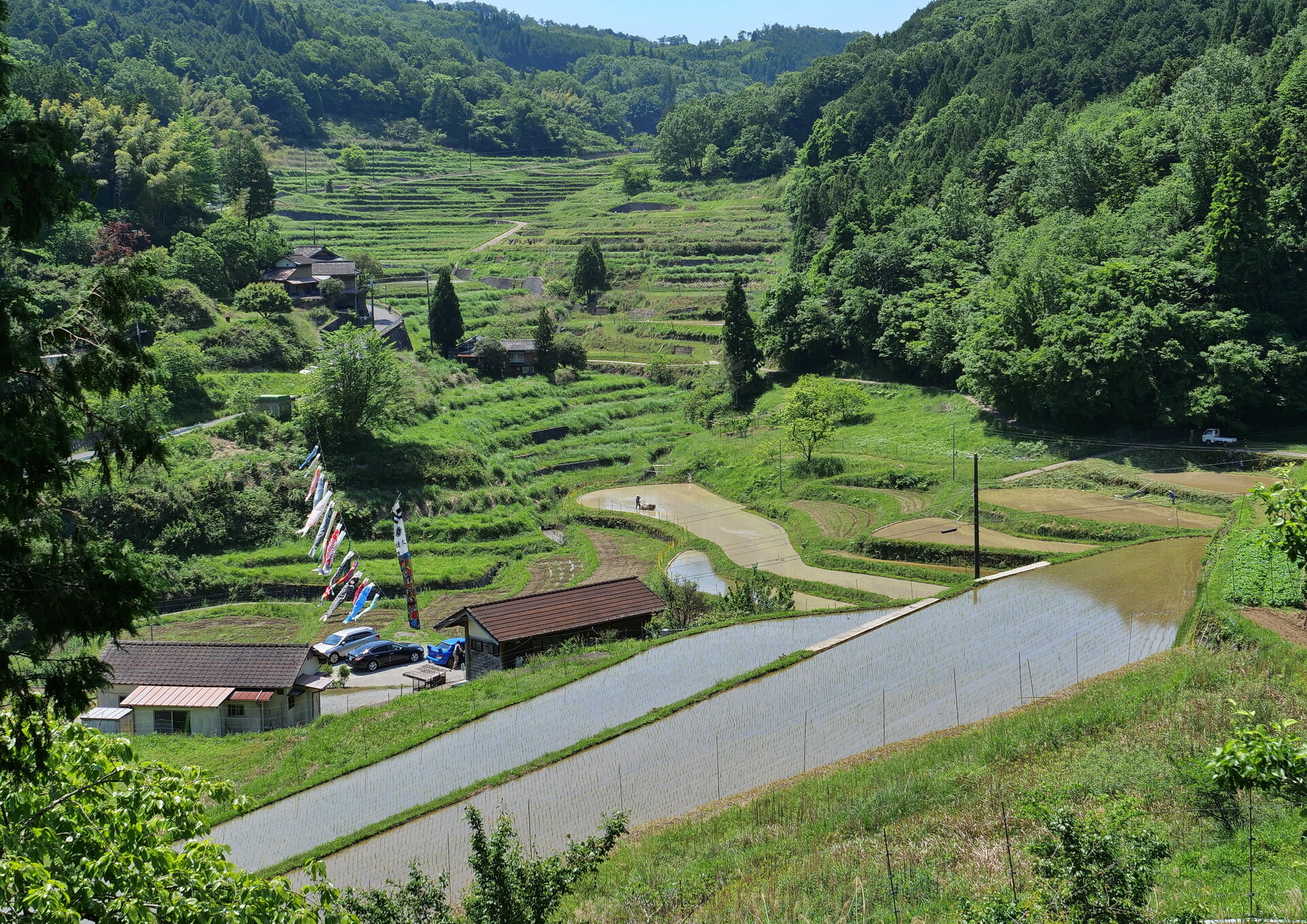 佐用町の棚田へ 21 05 23 Senaojinのblog