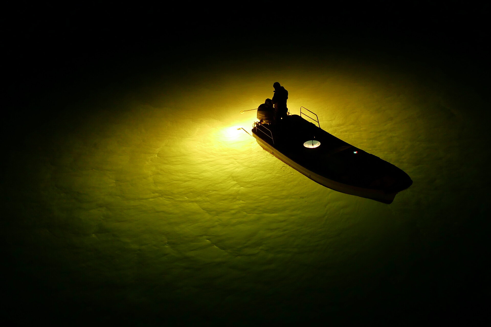 徳島 シラスウナギ漁 01 25 Senaojinのblog