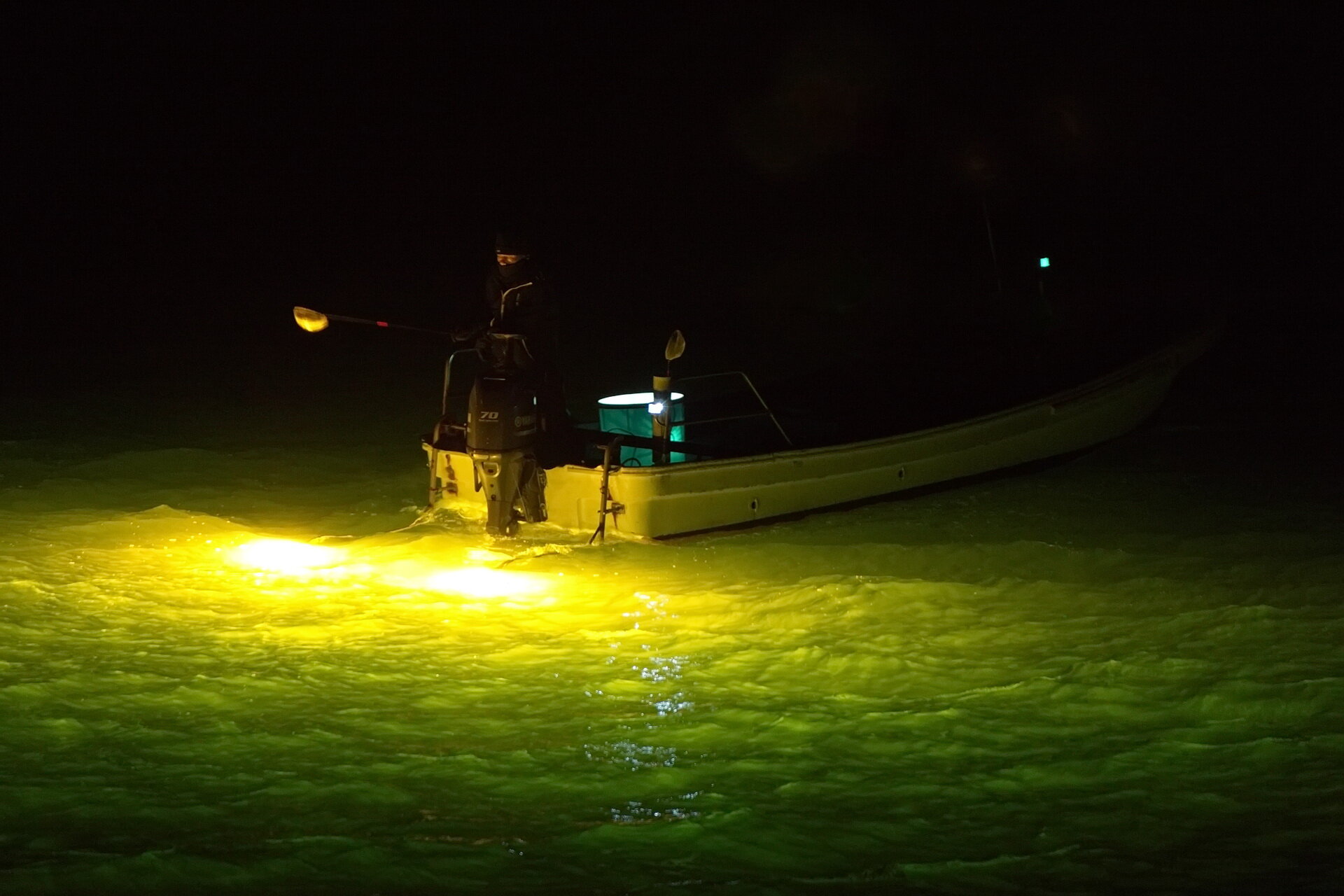 徳島 シラスウナギ漁 01 25 Senaojinのblog