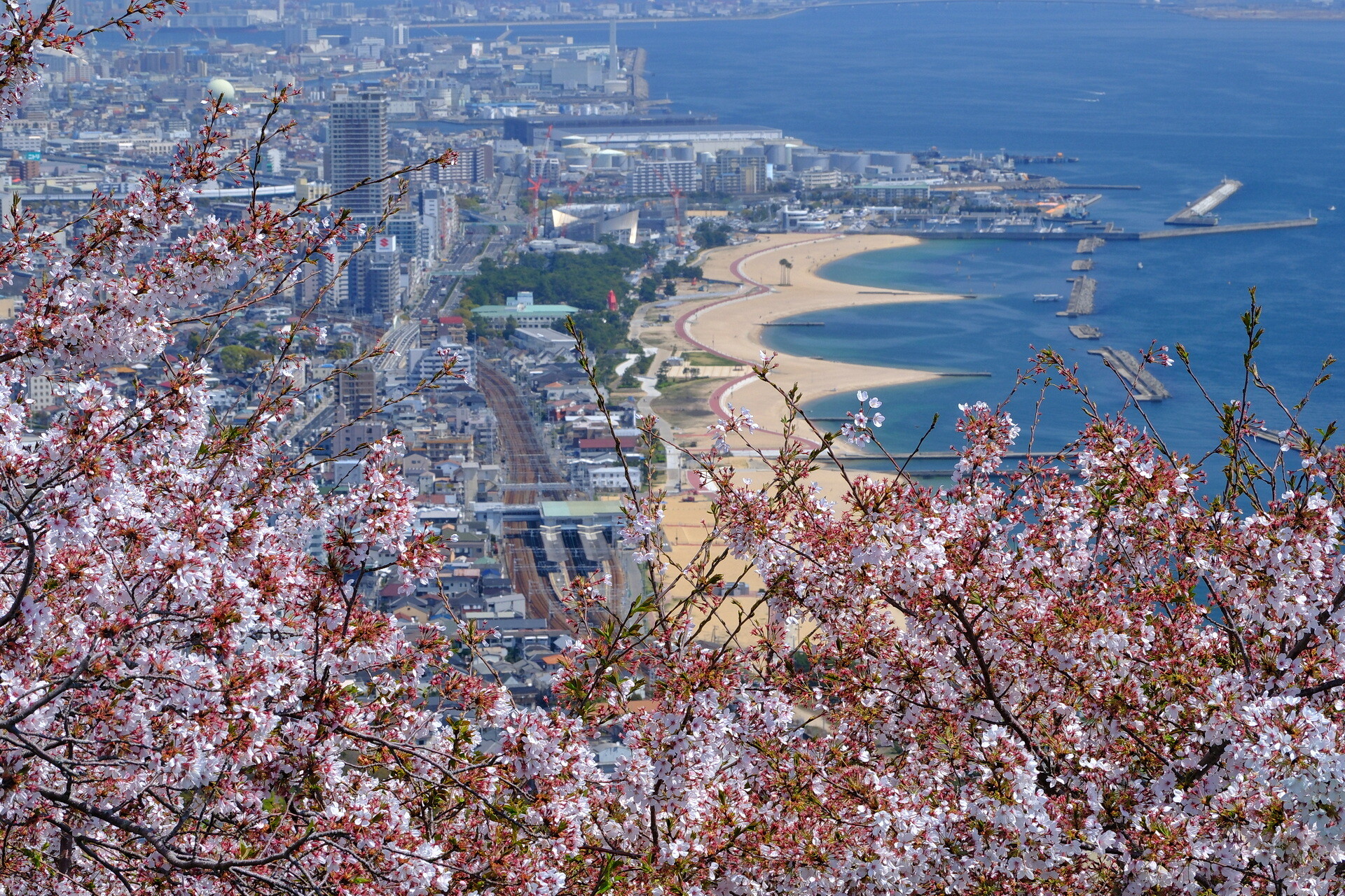 ＜撮影会・須磨浦公園 2023/04/03＞ : senaojinのblog