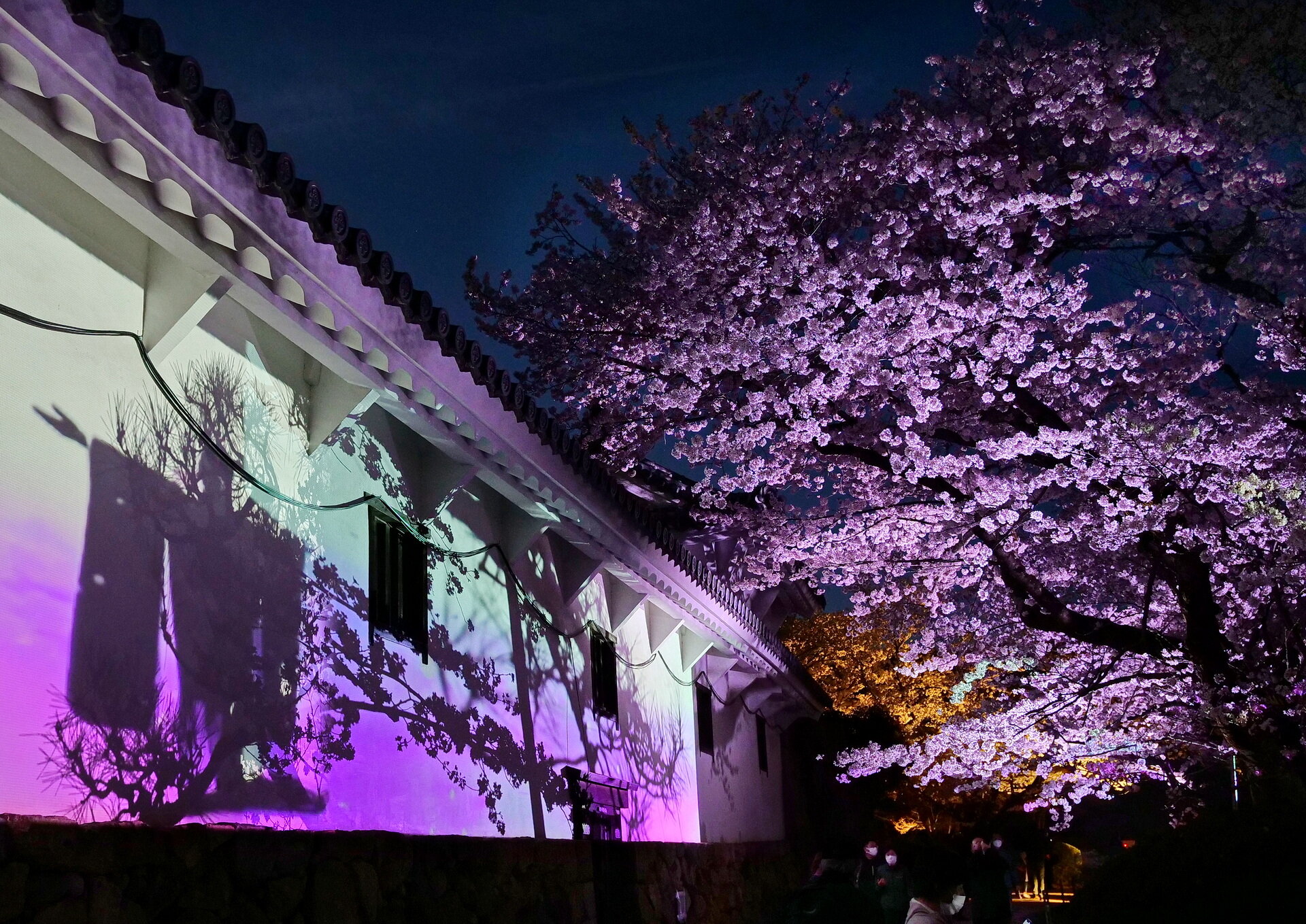 姫路城夜桜会 22 04 02 Senaojinのblog