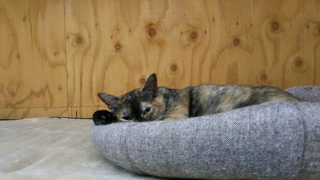 温い場所は? : 家をさがすのじゃ~~~~