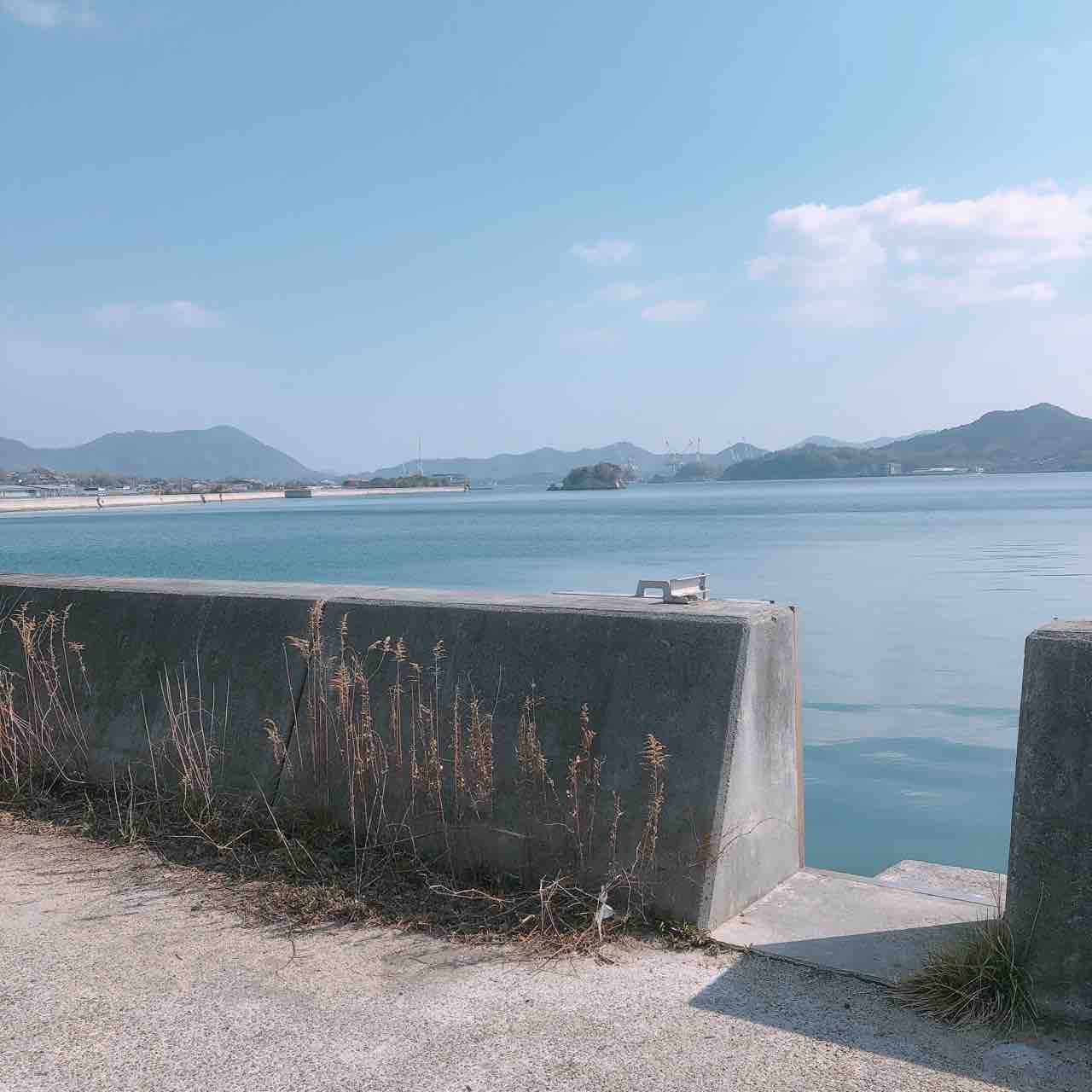 尾道市瀬戸田町 御食事処 ちどり で蛸天丼卵とじ 自由気ままにやるブログ