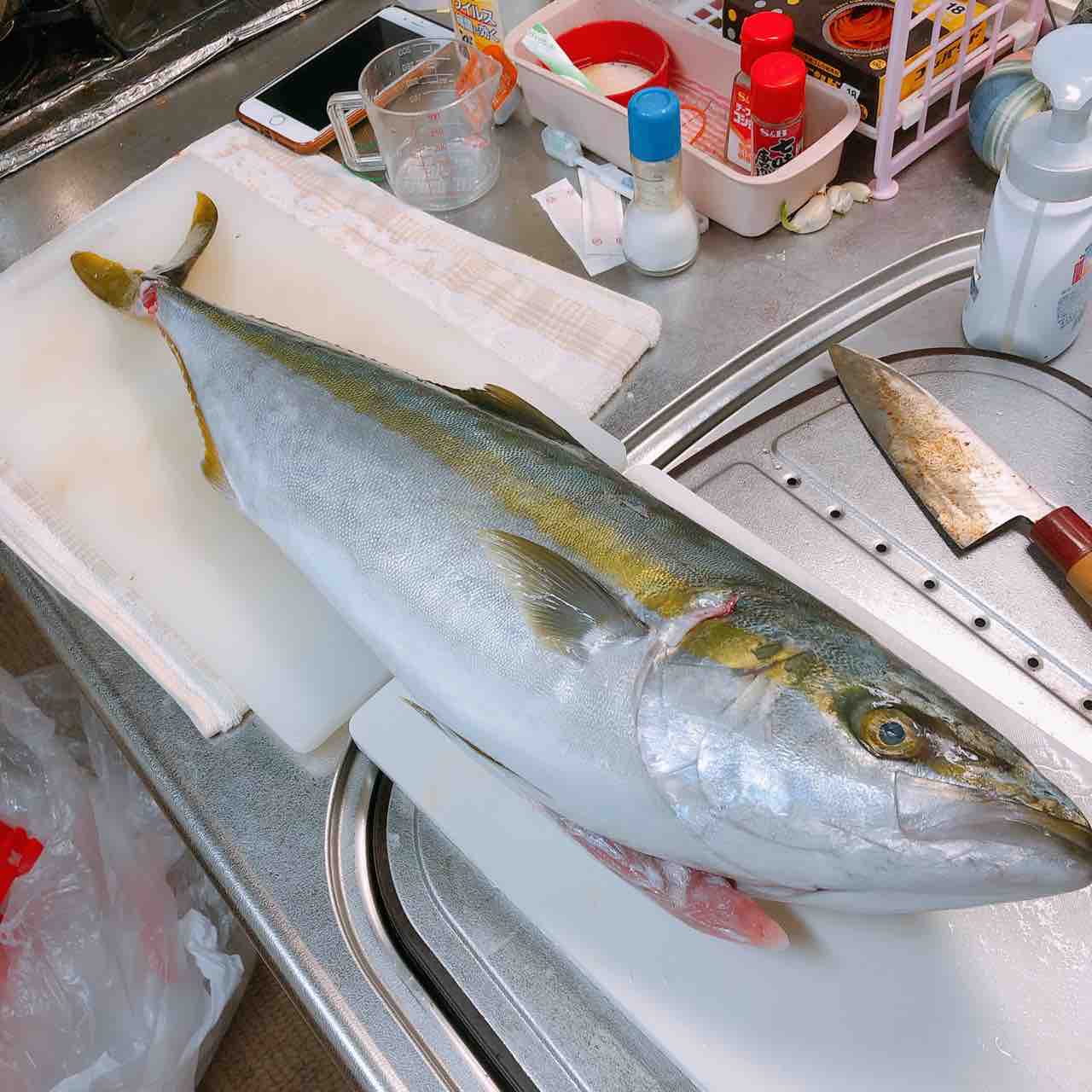 友達に貰ったブリを捌いてブリを堪能しまっせ 自由気ままにやるブログ