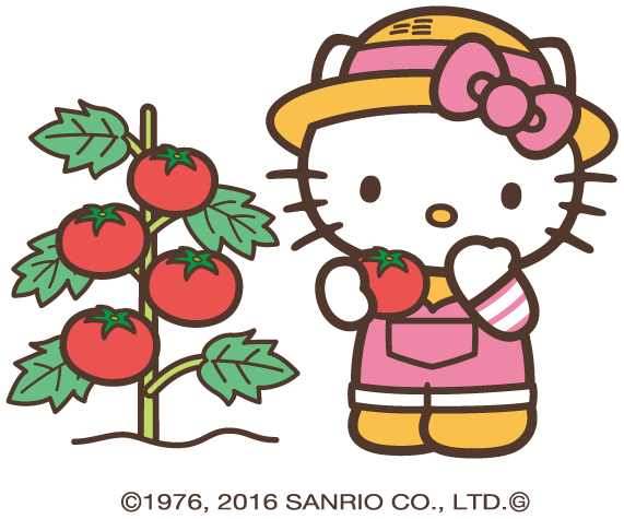 ご当地キティ　ハローキティ　果物　桃太郎　鳥取梨　紀州梅　山口みかん　静岡いちご ご当地キティ ハローキティ 果物 桃太郎 鳥取梨 紀州梅 山口