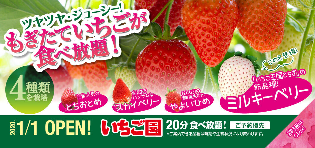 年元旦 いちご園 開園のお知らせ ようこそ千本松牧場へ 年元旦 いちご園 開園のお知らせ ようこそ千本松牧場へ