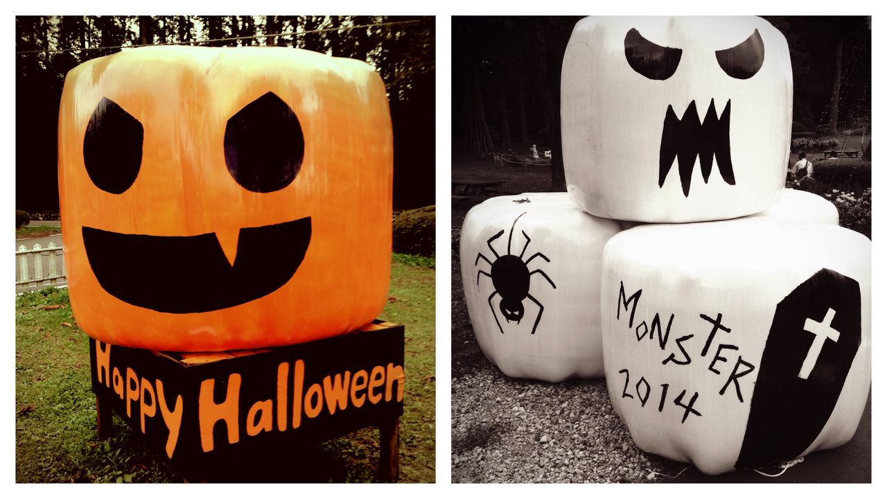 秋の収穫祭 ハロウィンパーティ のお知らせ ようこそ千本松牧場へ