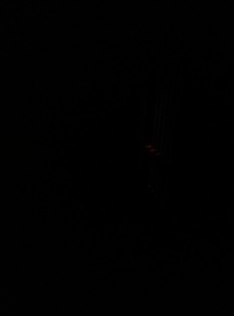 IMG_20131108_162404
