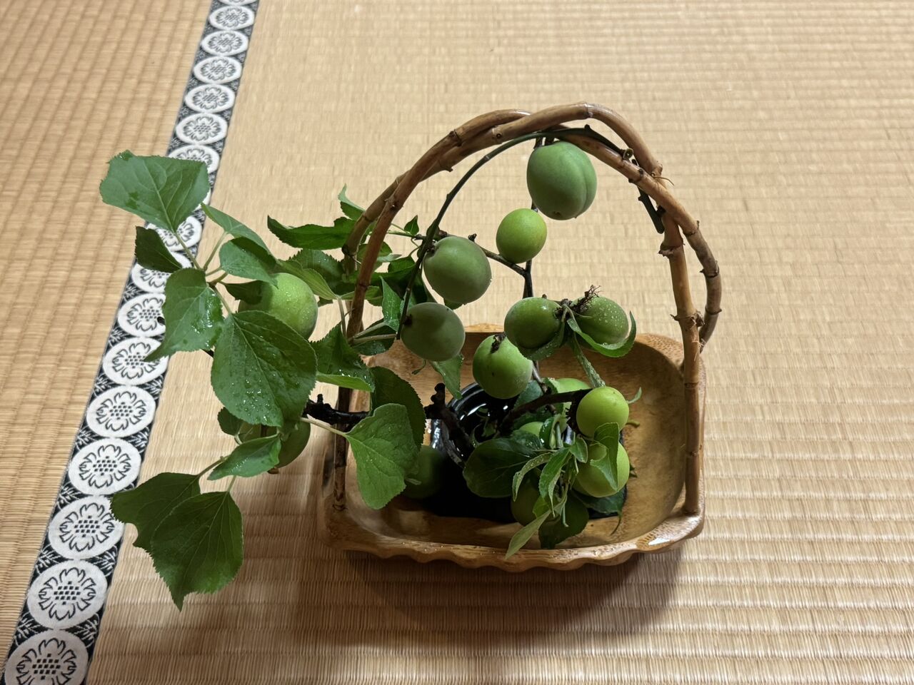 令和7年全国煎茶道大会 : 煎茶道便り「日々是好日」