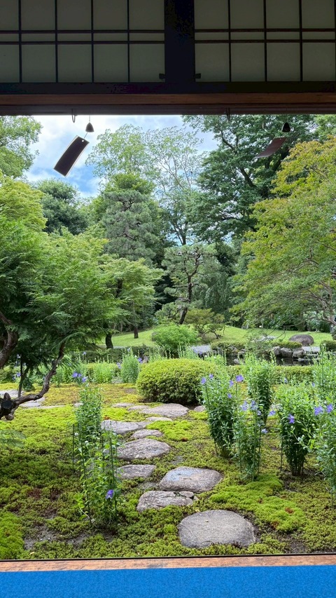 LINE_ALBUM_2026.6.21夏至の煎茶会_260621_22
