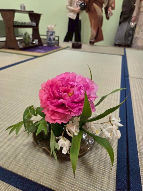 line_oa_chat_260422_154817