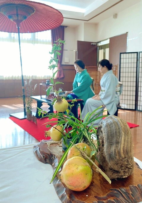 467252269_8671504562962697_5185634137945419503_n