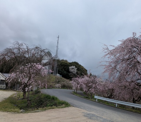 同門誌掲載用№2
