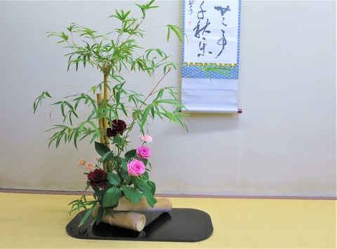 IMG_8232 (2)