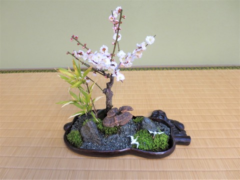 IMG_3361 (2)
