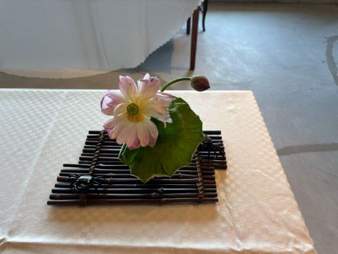 cache_x-coredata_essagep931721