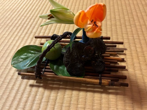 line_oa_chat_260804_150259