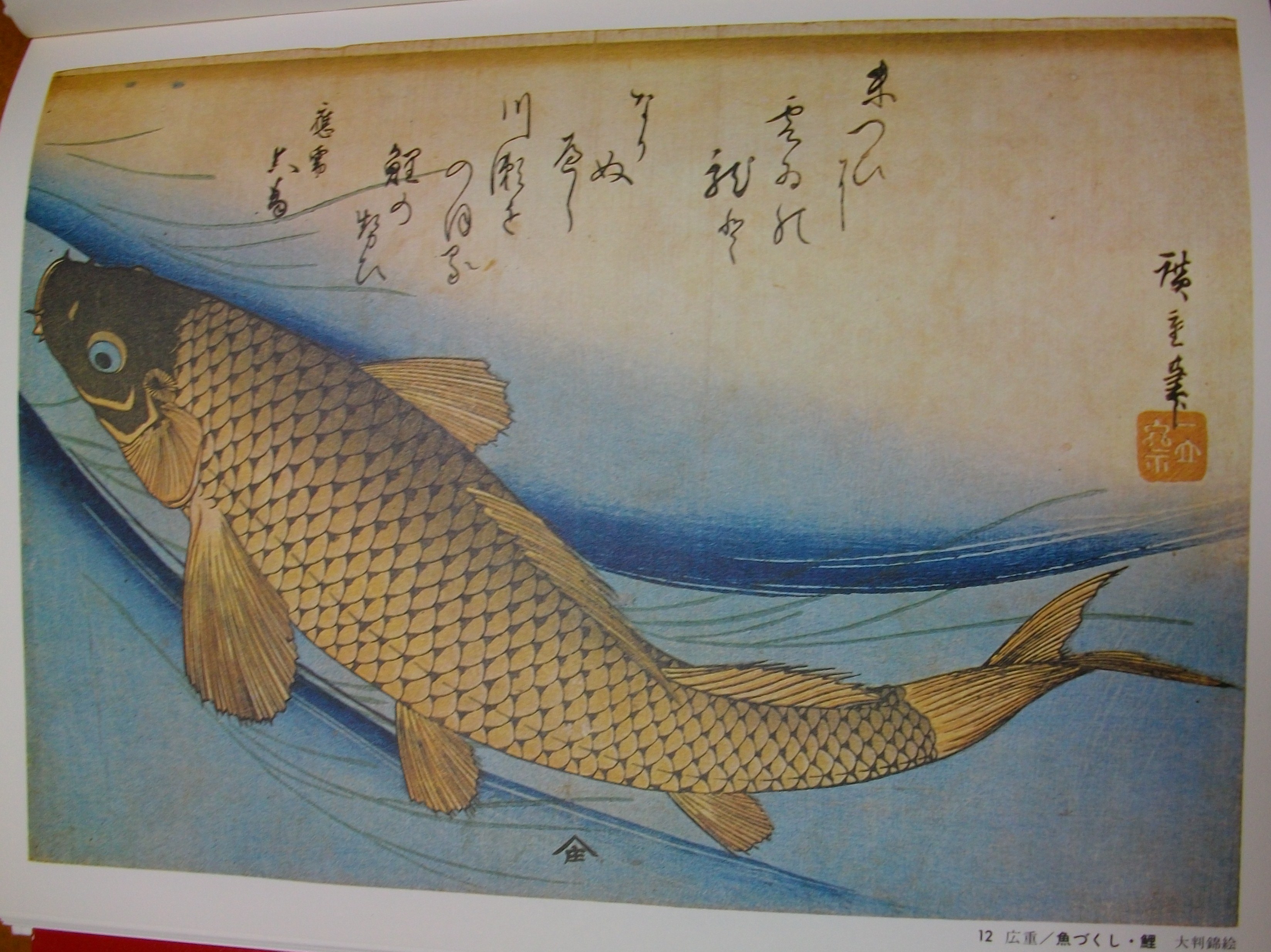 浮世絵に描かれた動物 広重 鯉 新先代の独り言