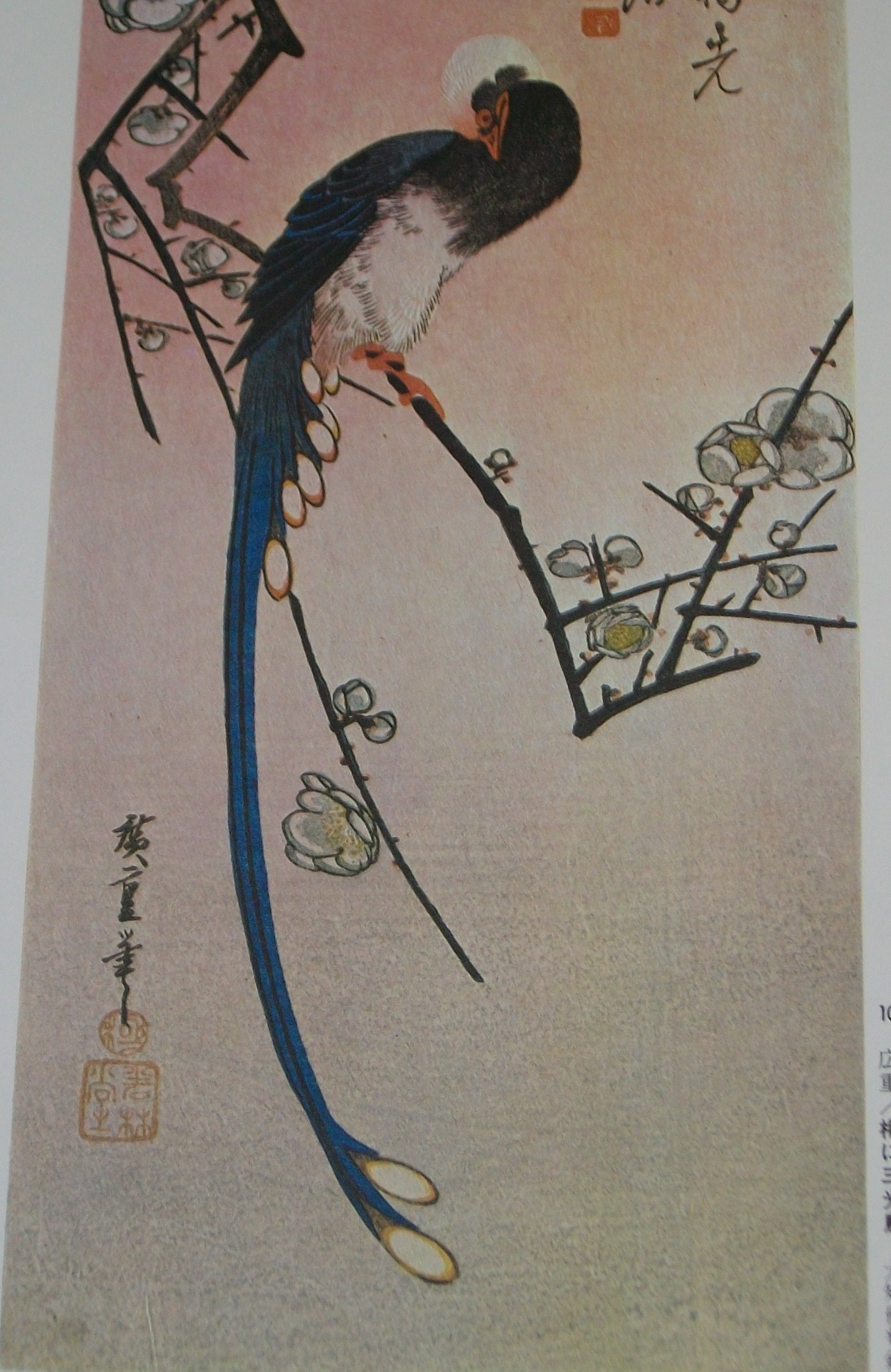 浮世絵に描かれた動物 広重 三光鳥 新先代の独り言