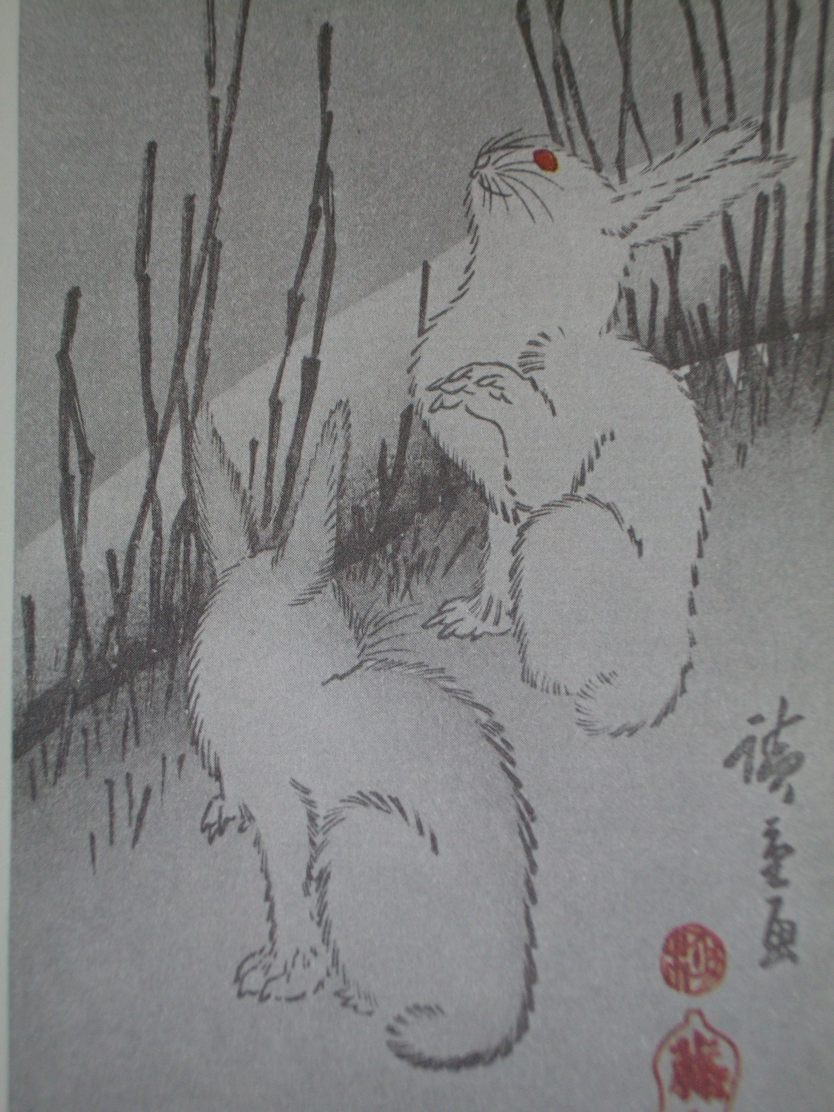浮世絵に描かれた動物 広重 うさぎ 新先代の独り言
