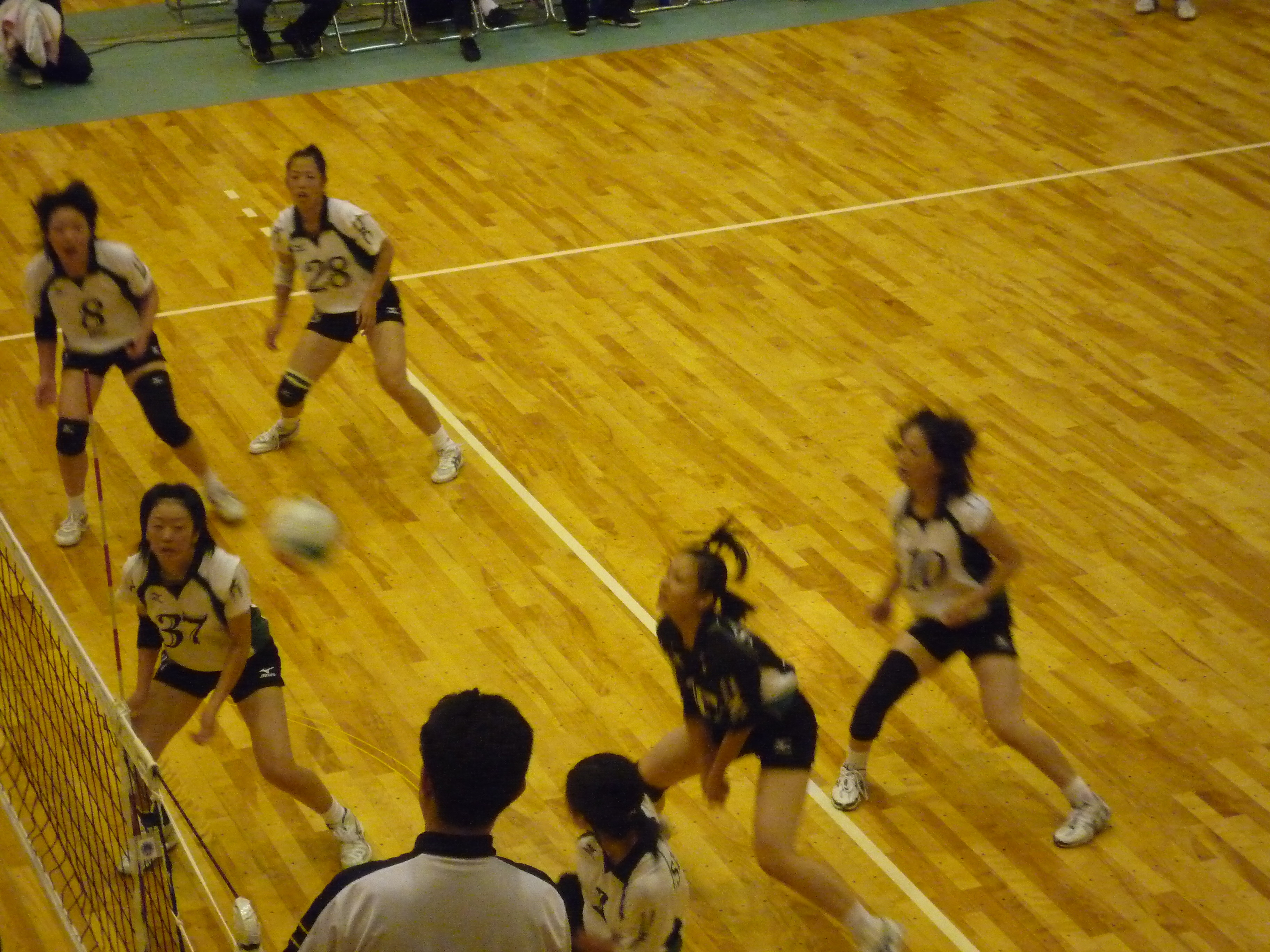 秋季リーグ 対福島大学戦試合風景 女子 仙台大学バレーボール部ブログ