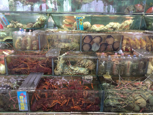 Sai Kung (19)