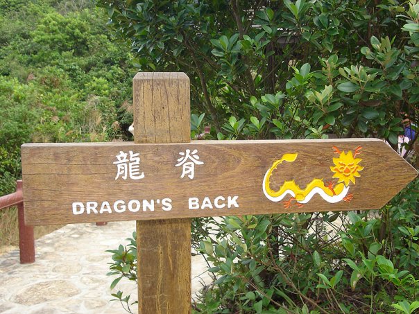 Dragons_back