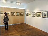 初夏の作品展へ