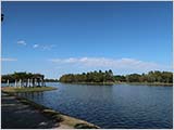 10月末の水元公園