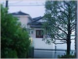 嵐の夜とアイスクリームとアニメと