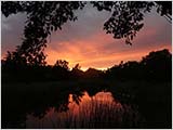 夕暮れの水元公園