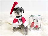 クリスマスイブ