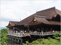 ���夫��Ȭ���