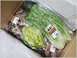 有機野菜いろいろ