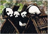 House of Pandas