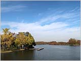 水元公園の秋の色