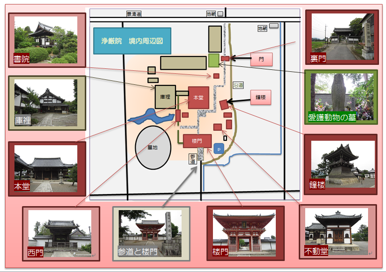 戦国を歩こう