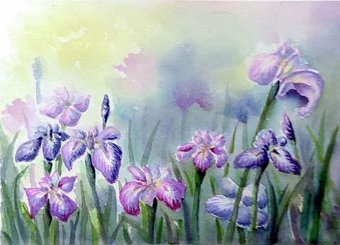 水彩画「菖蒲と水草」 水彩画「菖蒲と水草」 hq720.jpg?sqp=-