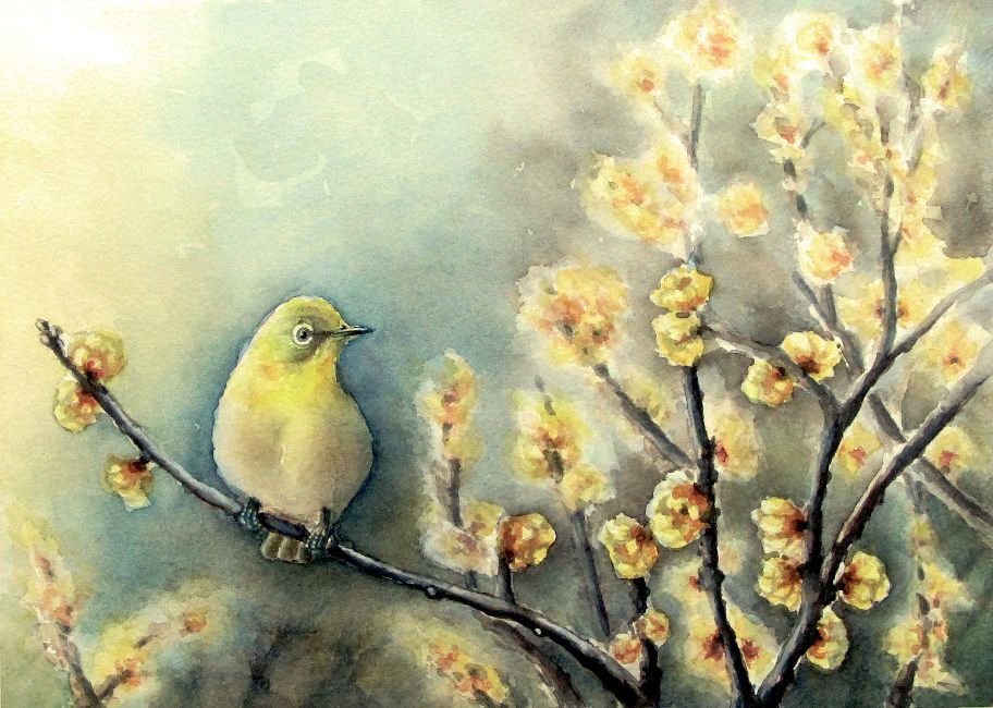 2023.01 蝋梅とメジロ : シニアから始めた透明水彩画
